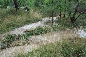 Aspen Creek Monsoon